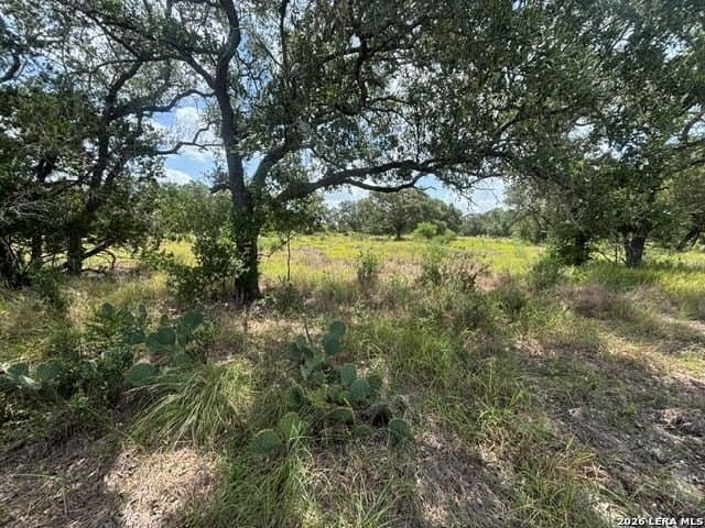 53.36 acres in Medina County - photo 2