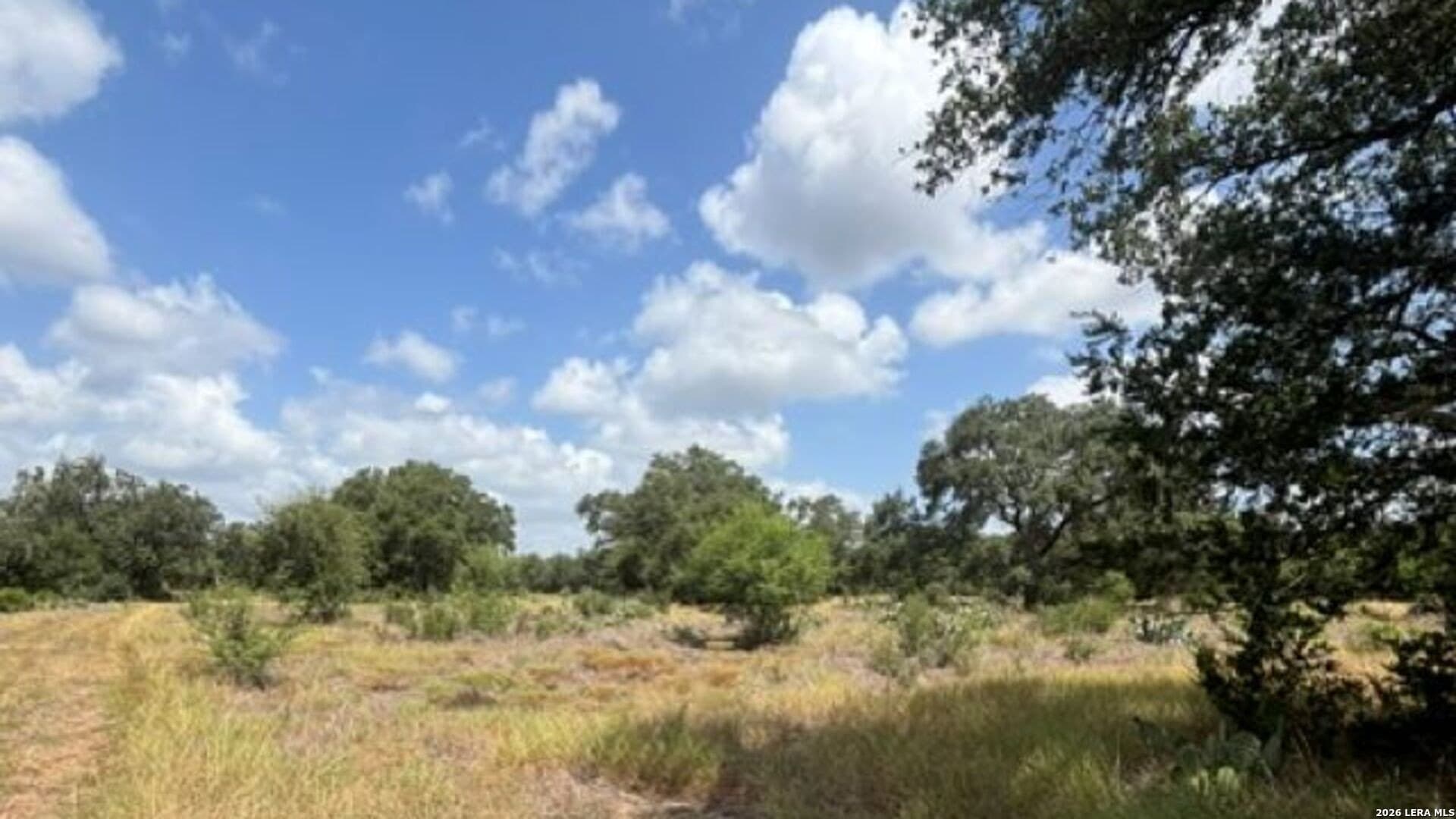 53.36 acres in Medina County - photo 7