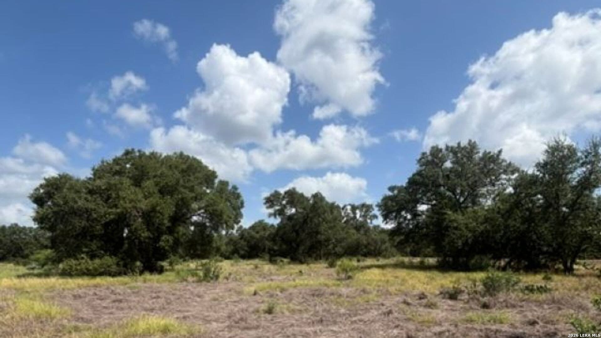 53.36 acres in Medina County - photo 9