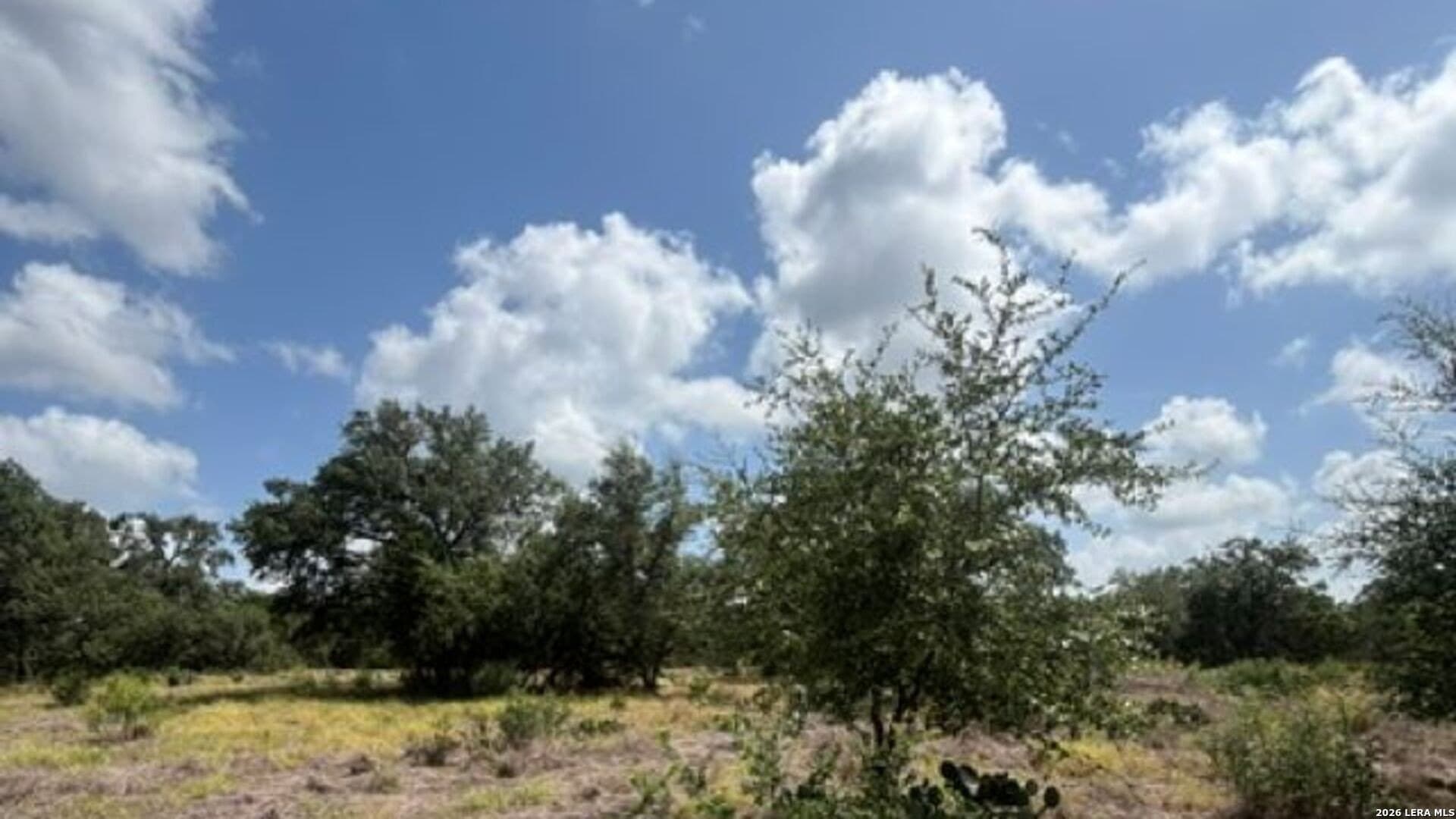 53.36 acres in Medina County - photo 10