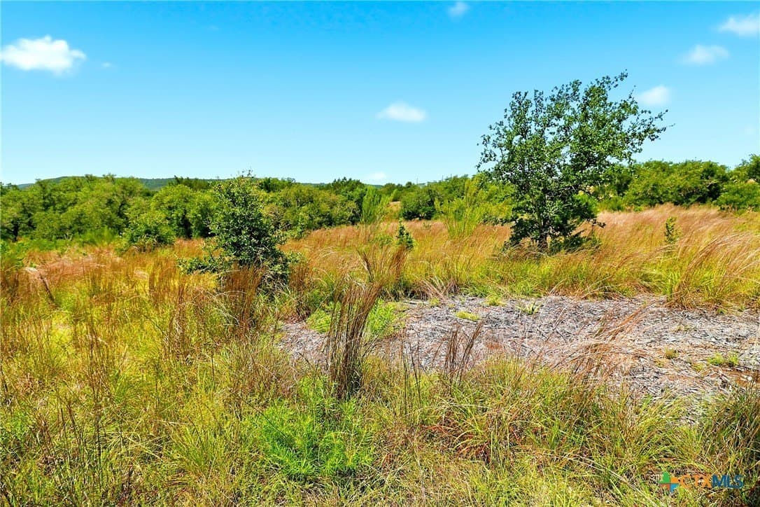 10 acres in Burnet County - photo 16