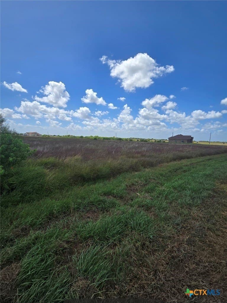 2.53 acres in Calhoun County - photo 3