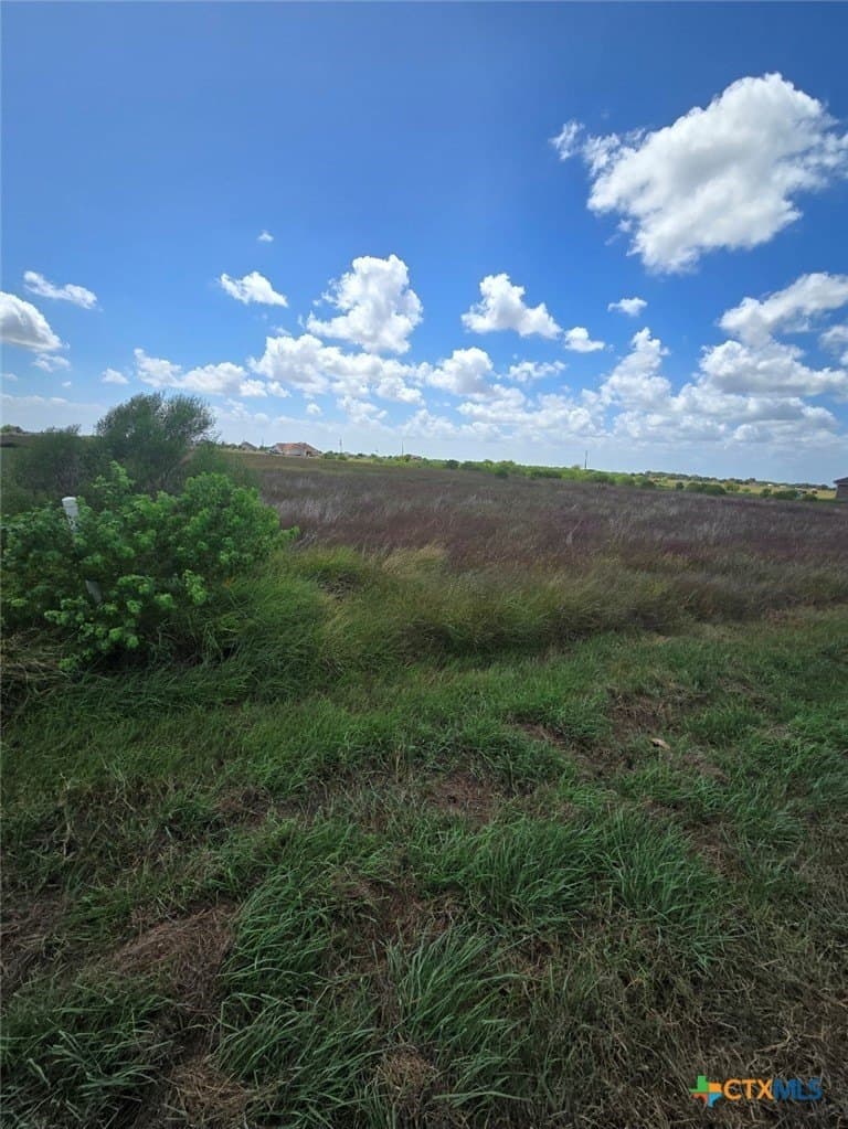 2.53 acres in Calhoun County - photo 4
