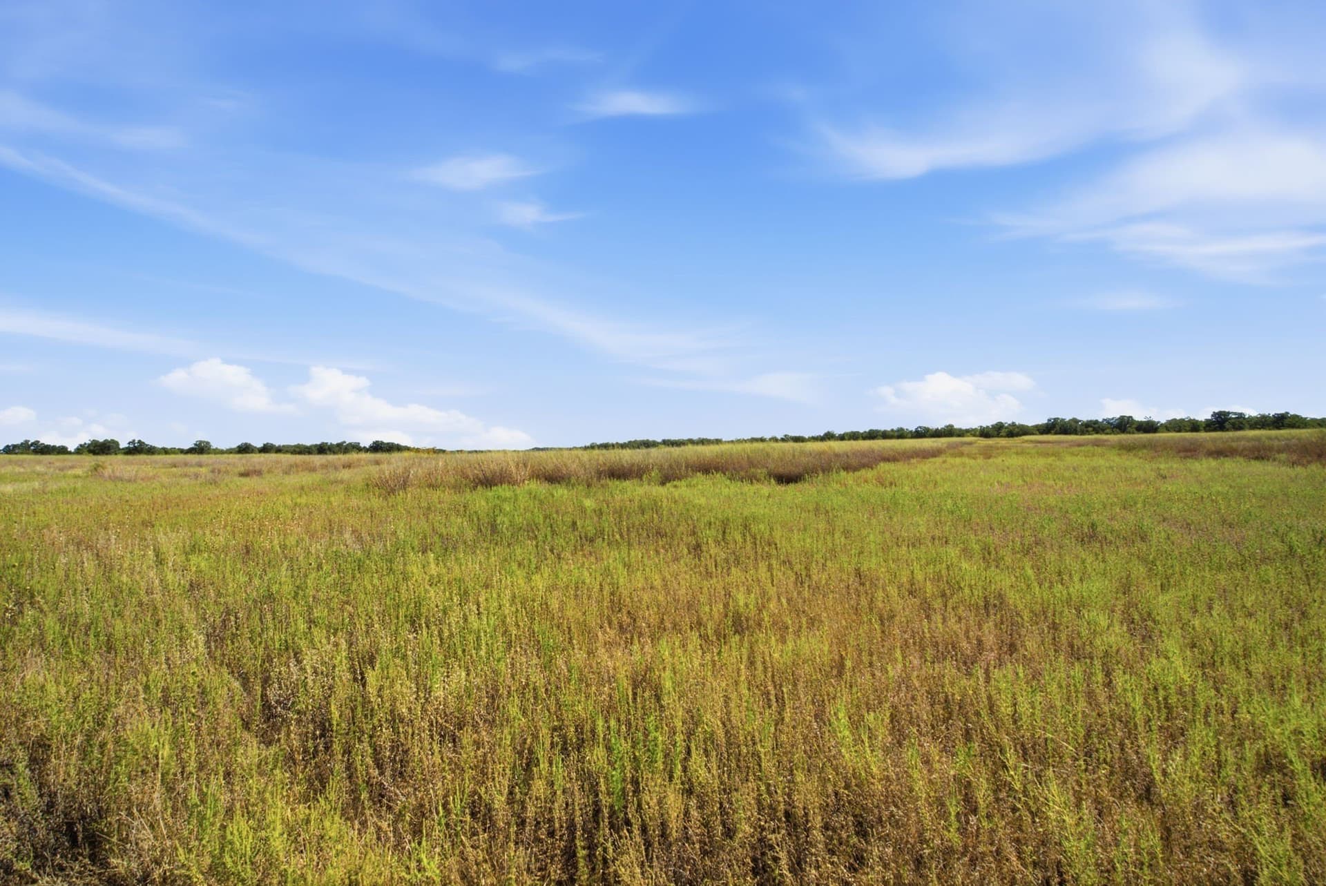 318.82 acres in Young County - photo 39