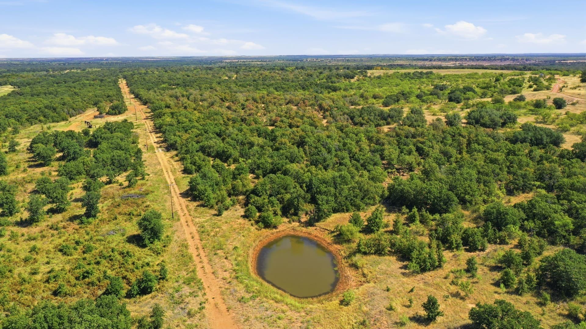 318.82 acres in Young County - photo 24