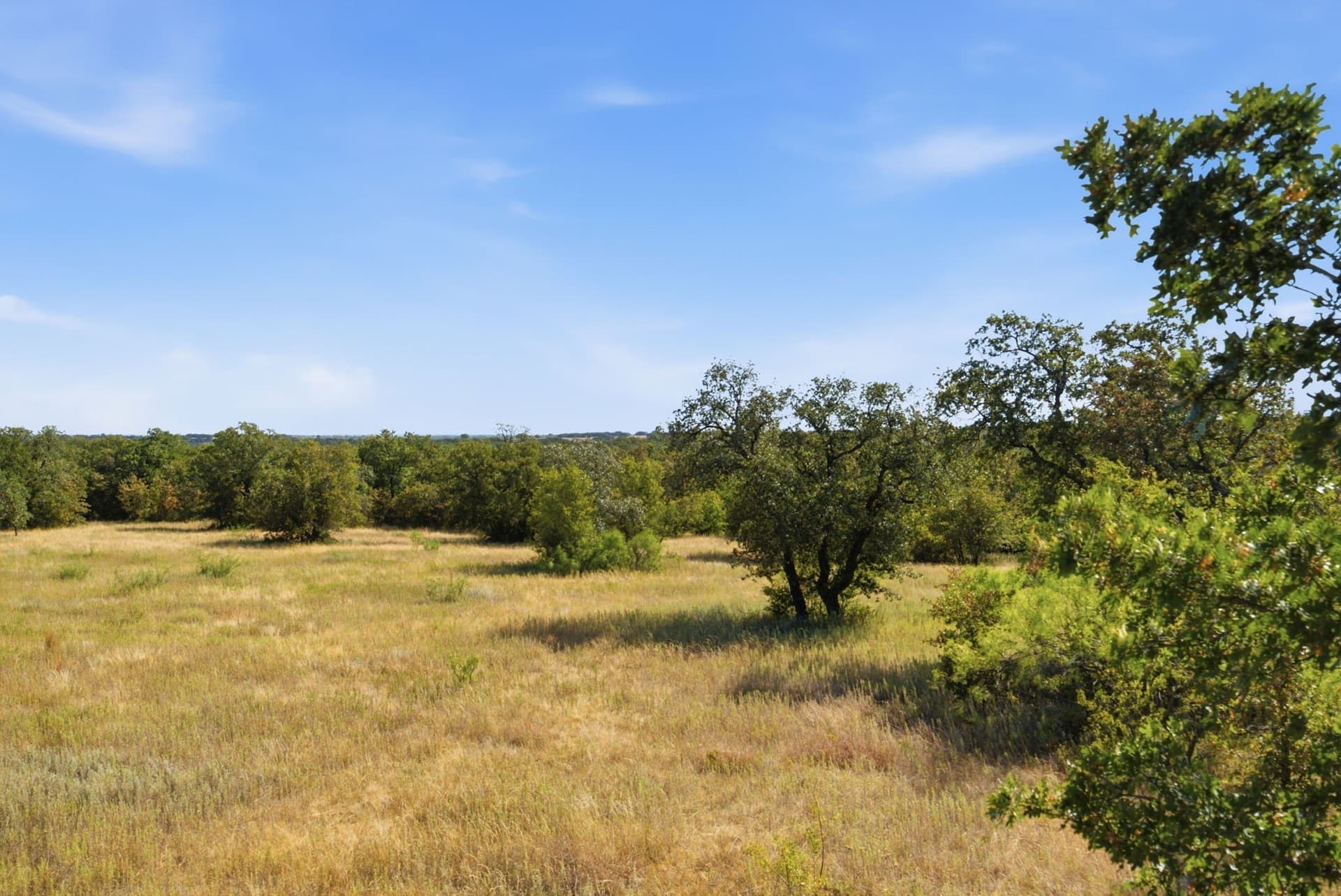 318.82 acres in Young County - photo 33
