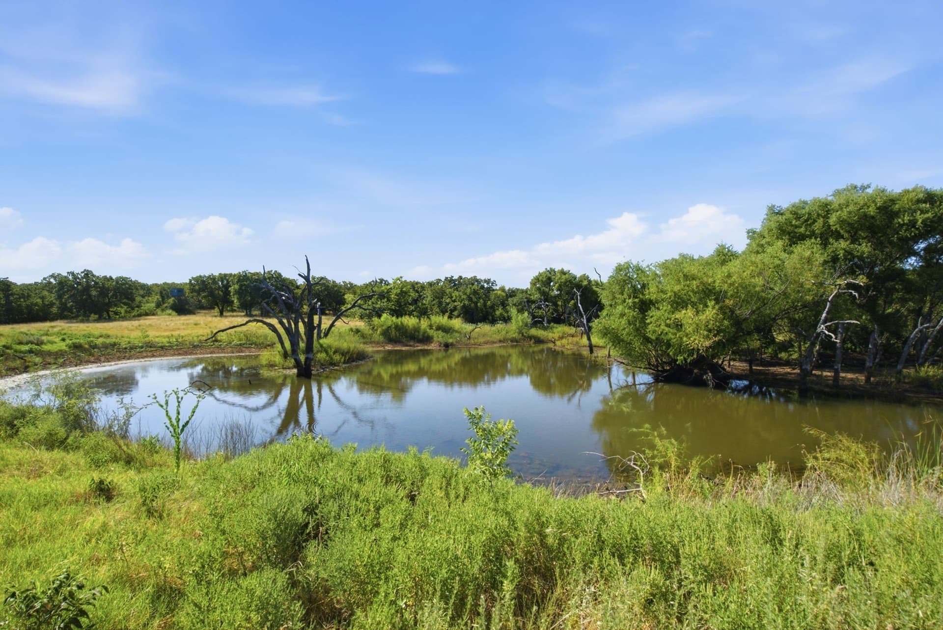 318.82 acres in Young County - photo 15