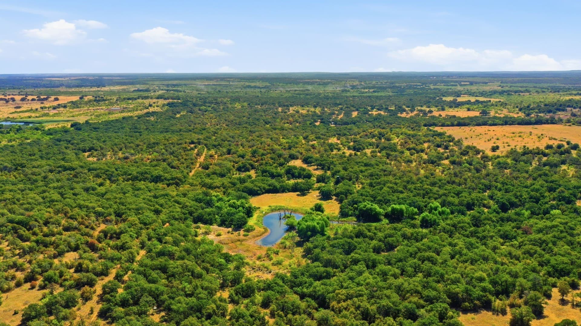 318.82 acres in Young County - photo 11