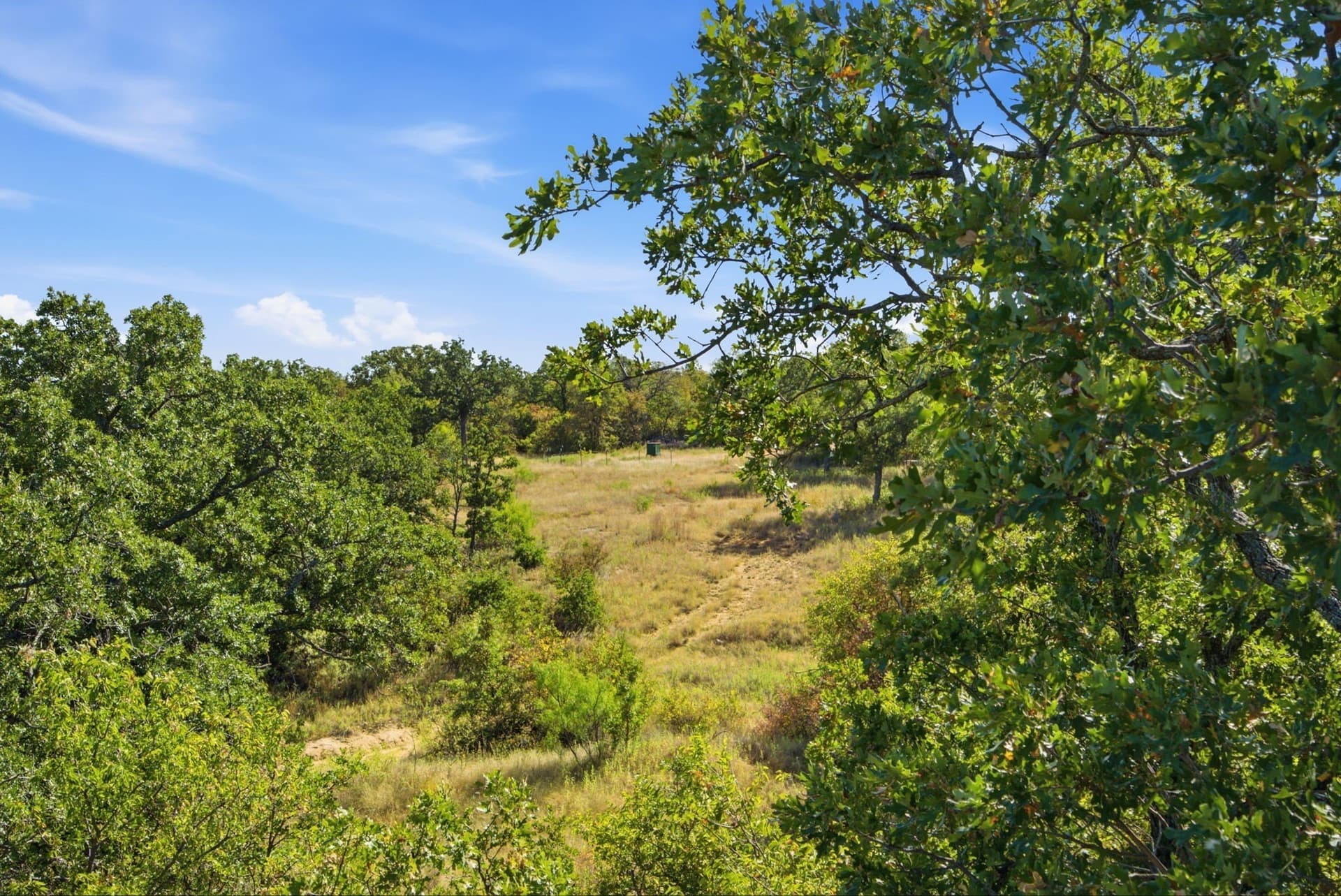 318.82 acres in Young County - photo 20