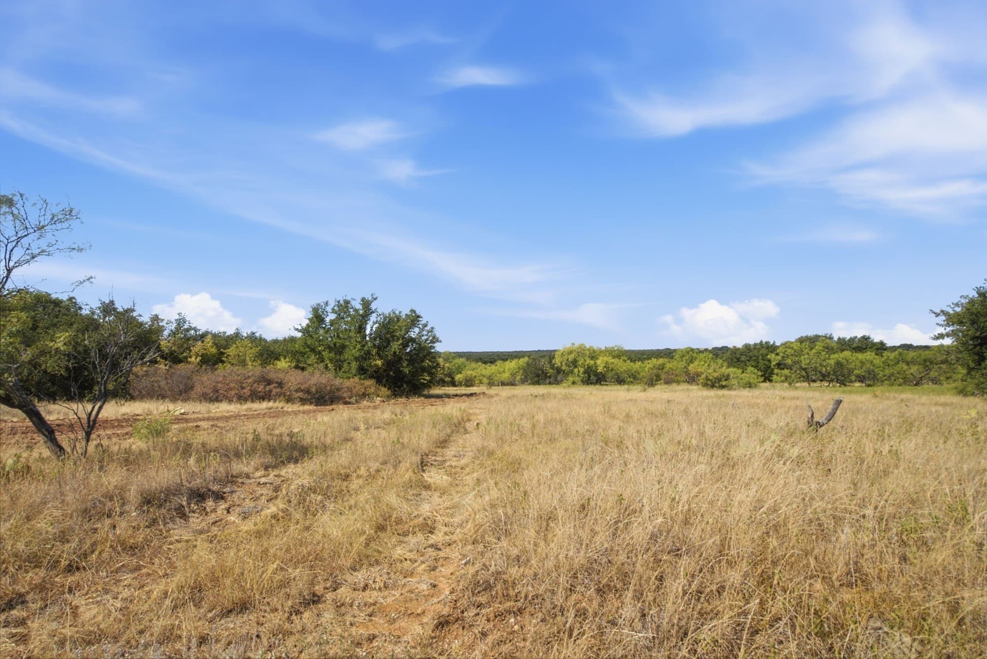 318.82 acres in Young County - photo 36