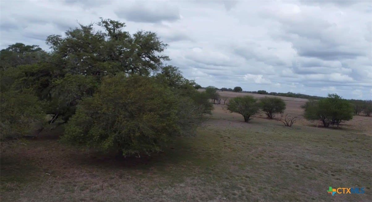 46.3 acres in Goliad County gallery image 4