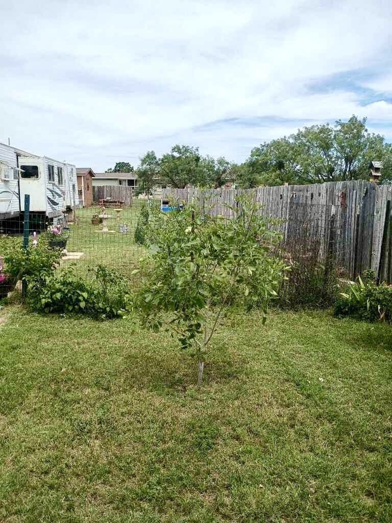 0.23 acres in Taylor County - photo 10