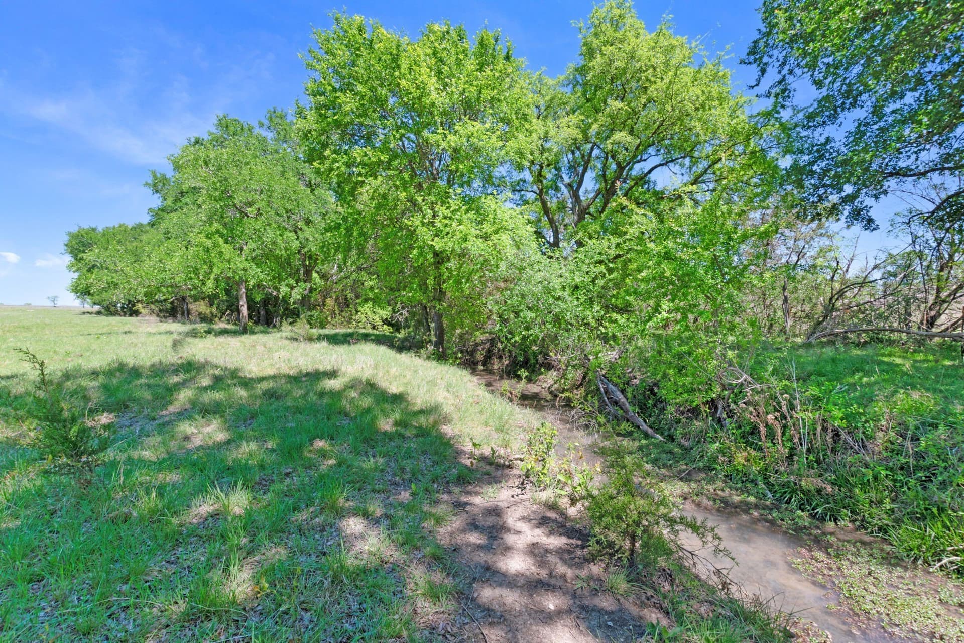 191.72 acres in Coryell County - photo 25
