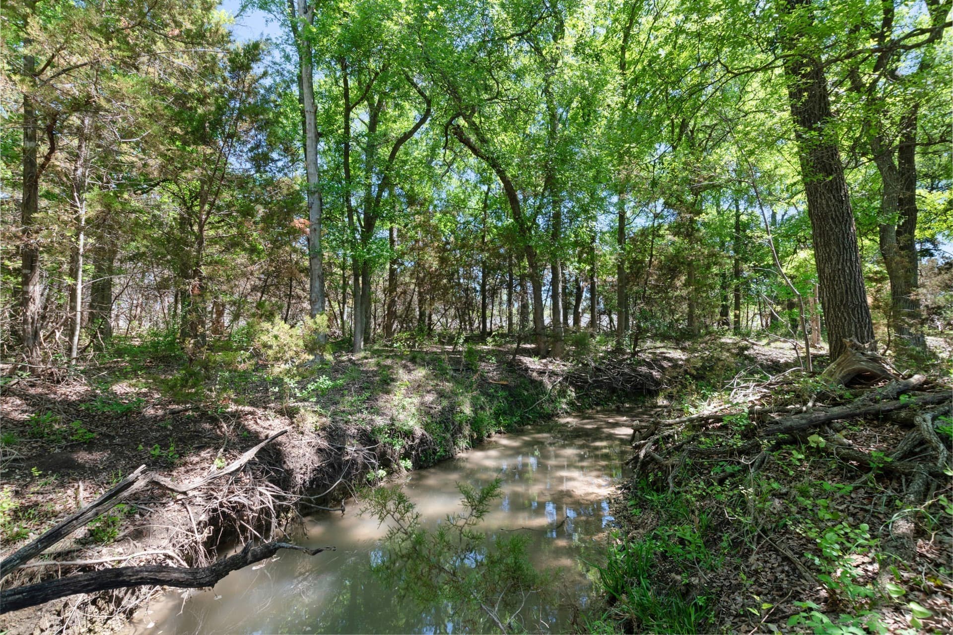 191.72 acres in Coryell County - photo 7