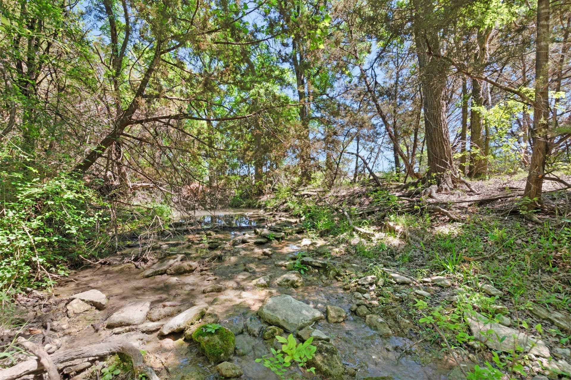 191.72 acres in Coryell County - photo 11