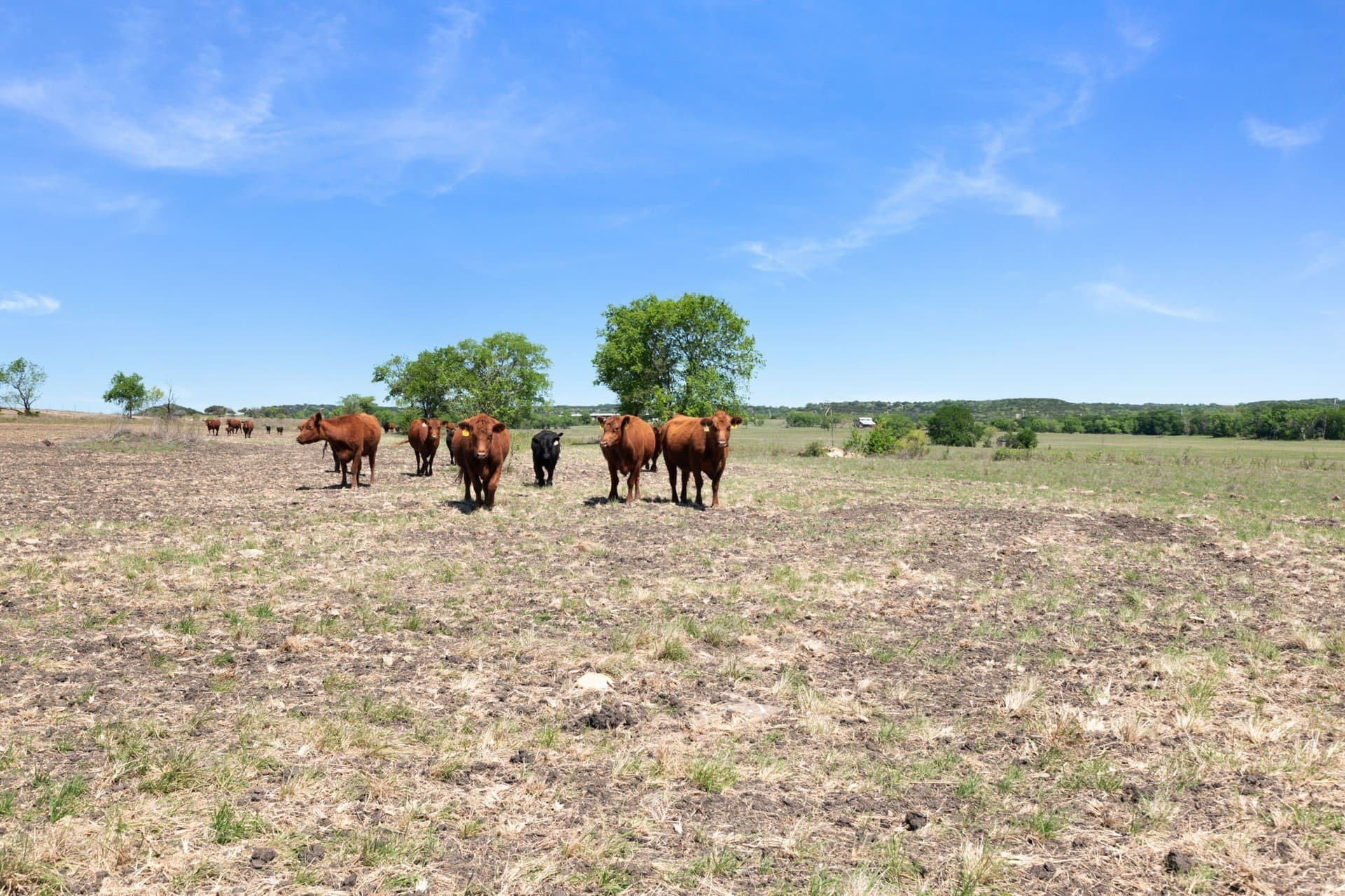191.72 acres in Coryell County - photo 23