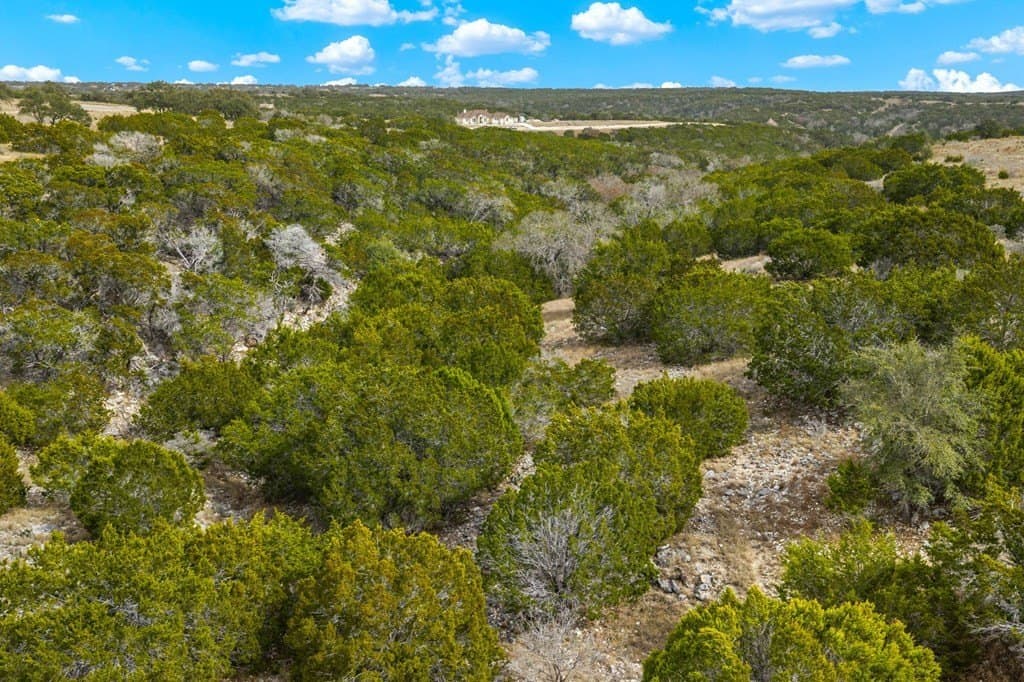 3.01 acres in Gillespie County - photo 9