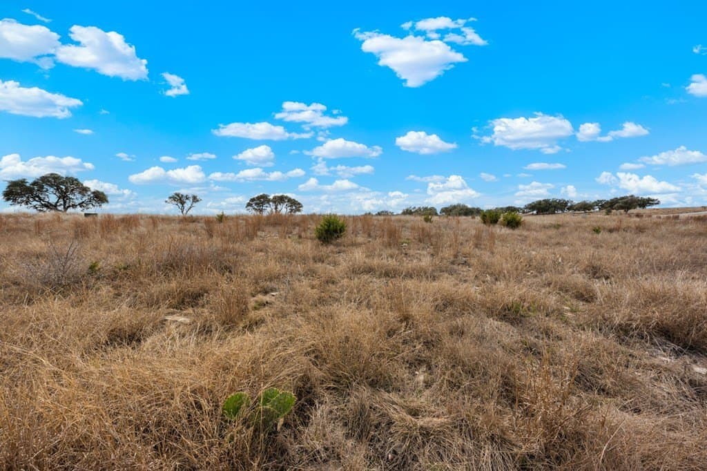 3.01 acres in Gillespie County - photo 7