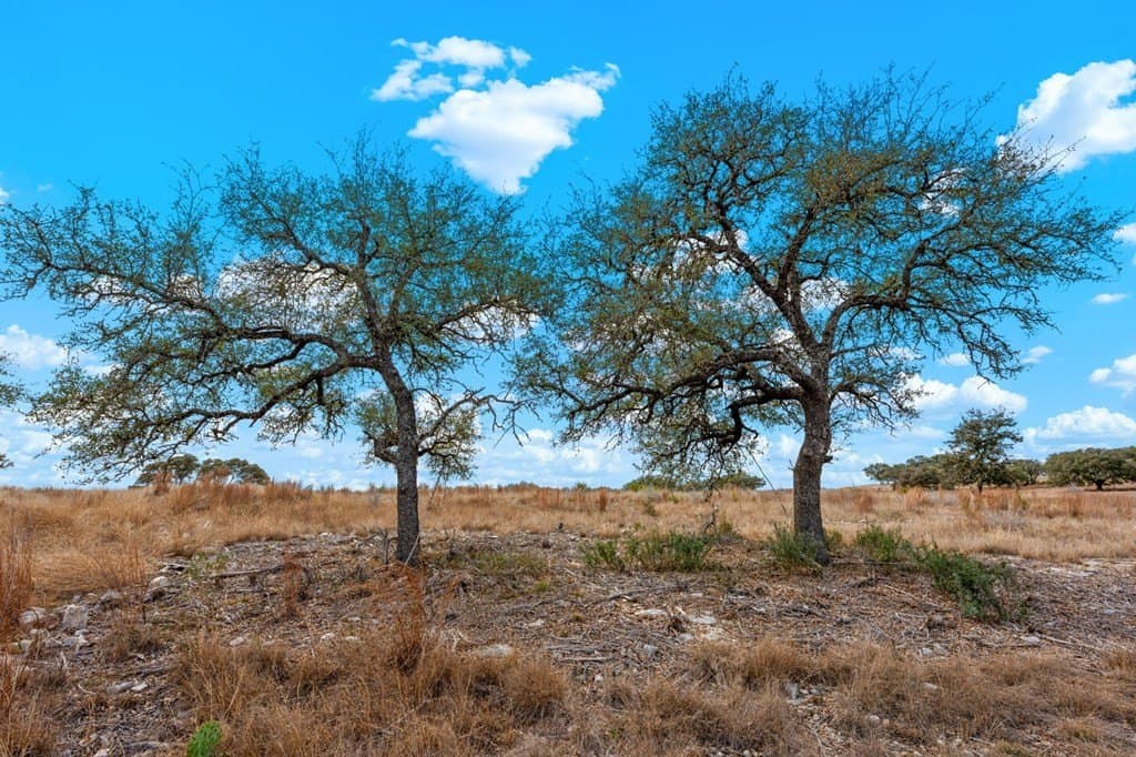 3.01 acres in Gillespie County - photo 8