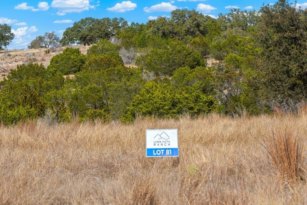 3.01 acres in Gillespie County - photo 10