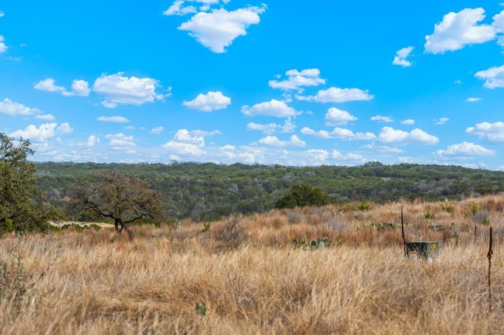 3.01 acres in Gillespie County - photo 6