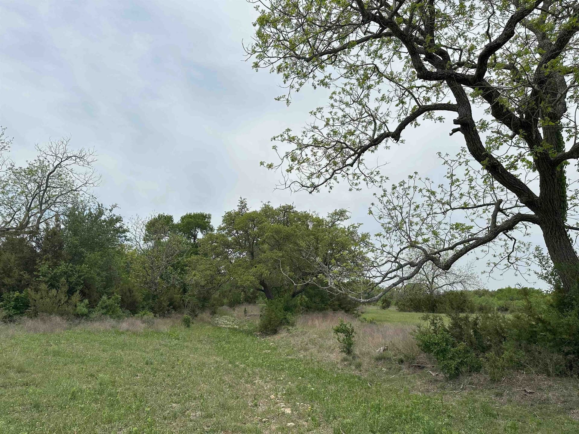 71 acres in Burnet County - photo 8