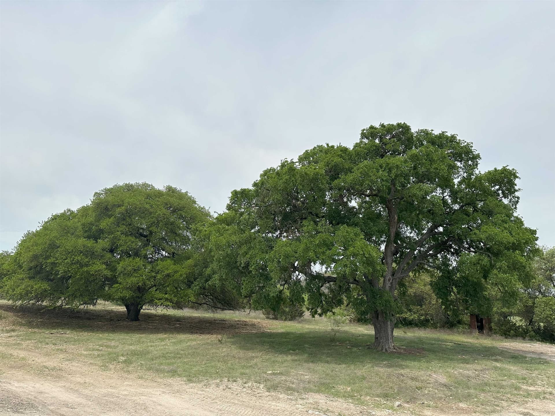 71 acres in Burnet County - photo 7