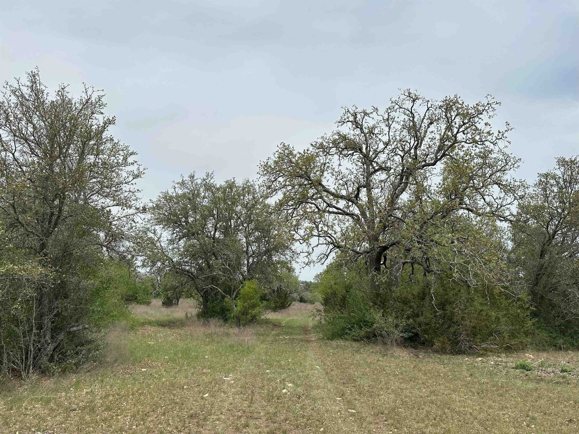71 acres in Burnet County - photo 12