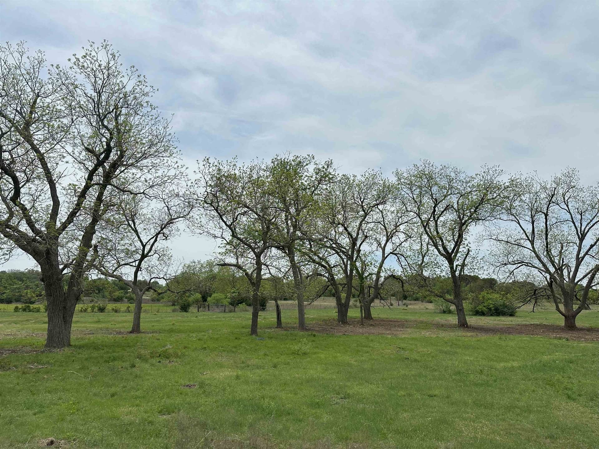 71 acres in Burnet County - photo 9