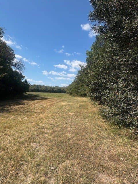 35 acres in Hunt County - photo 11