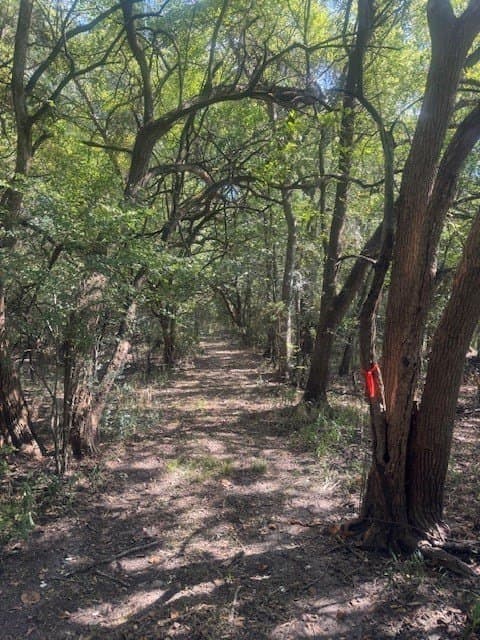 35 acres in Hunt County - photo 28