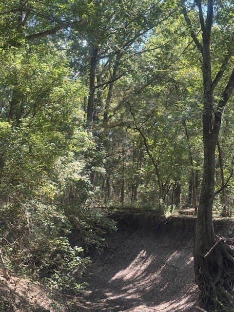 35 acres in Hunt County - photo 19