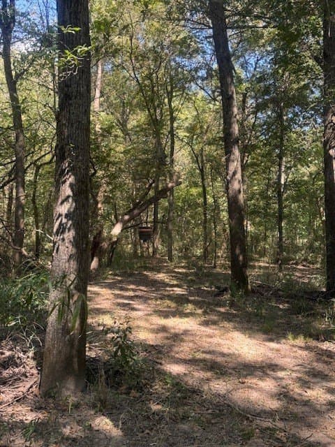 35 acres in Hunt County - photo 29