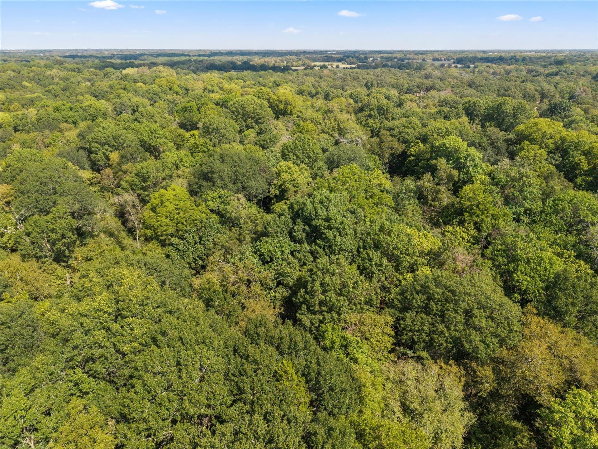 35 acres in Hunt County - photo 22