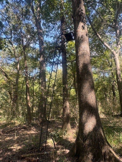35 acres in Hunt County - photo 30