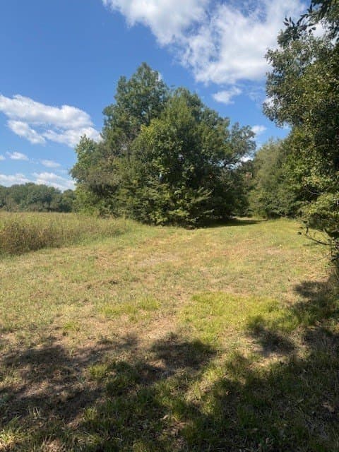 35 acres in Hunt County - photo 17