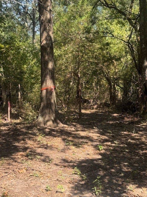 35 acres in Hunt County - photo 13