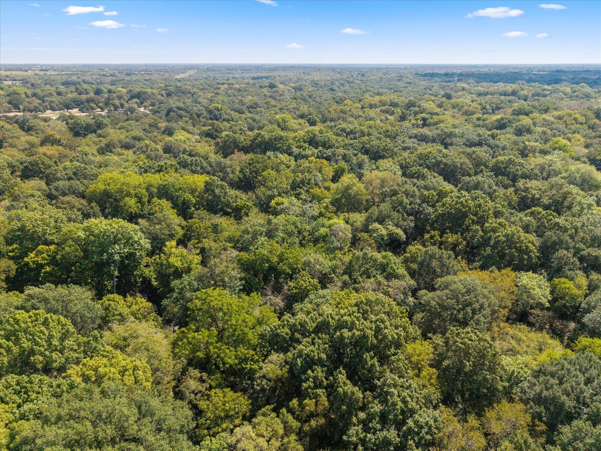 35 acres in Hunt County - photo 26