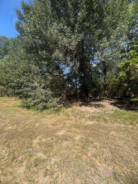 35 acres in Hunt County - photo 12