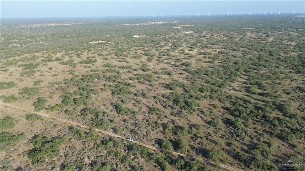 17 acres in Zapata County - photo 5