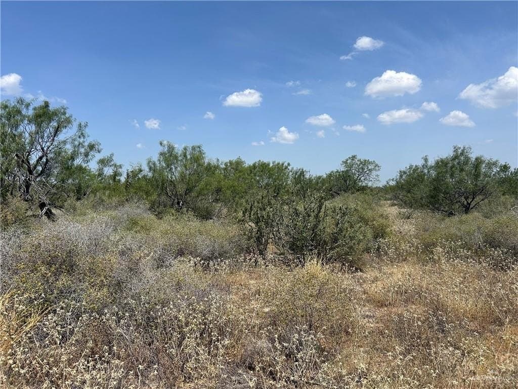 17 acres in Zapata County - photo 9