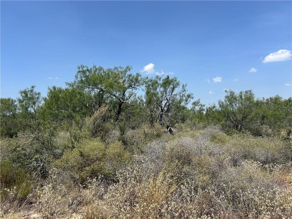 17 acres in Zapata County - photo 6