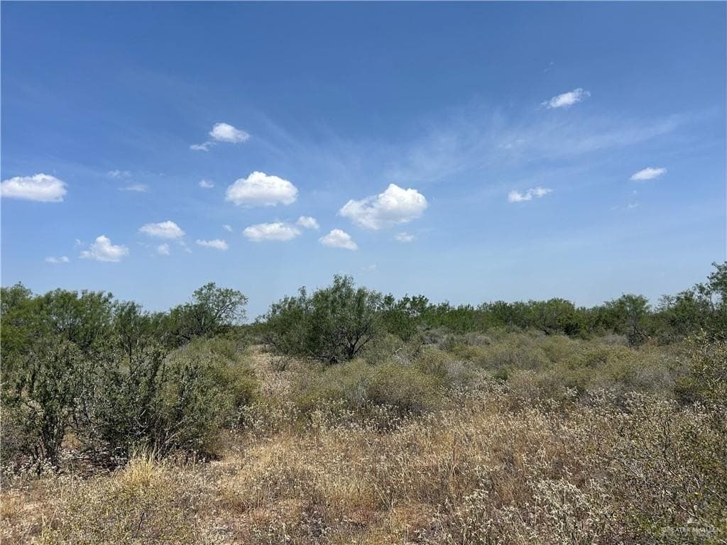 17 acres in Zapata County - photo 7