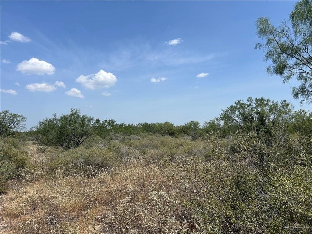 17 acres in Zapata County - photo 8