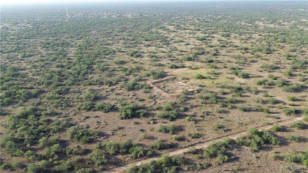 17 acres in Zapata County - photo 4