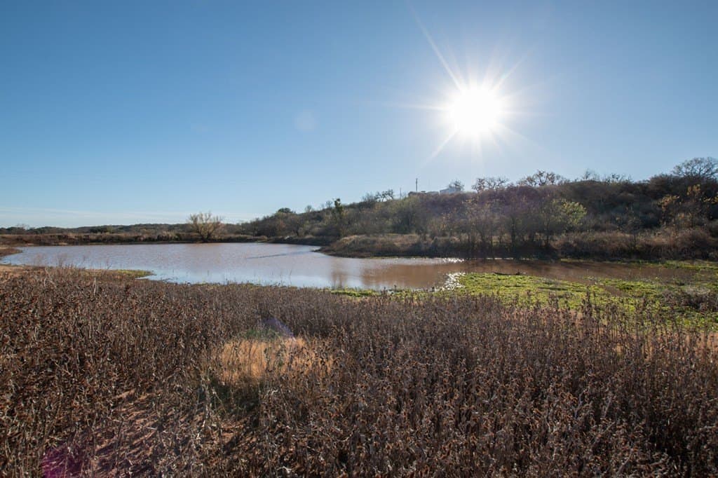 373.4 acres in San Saba County gallery image 4