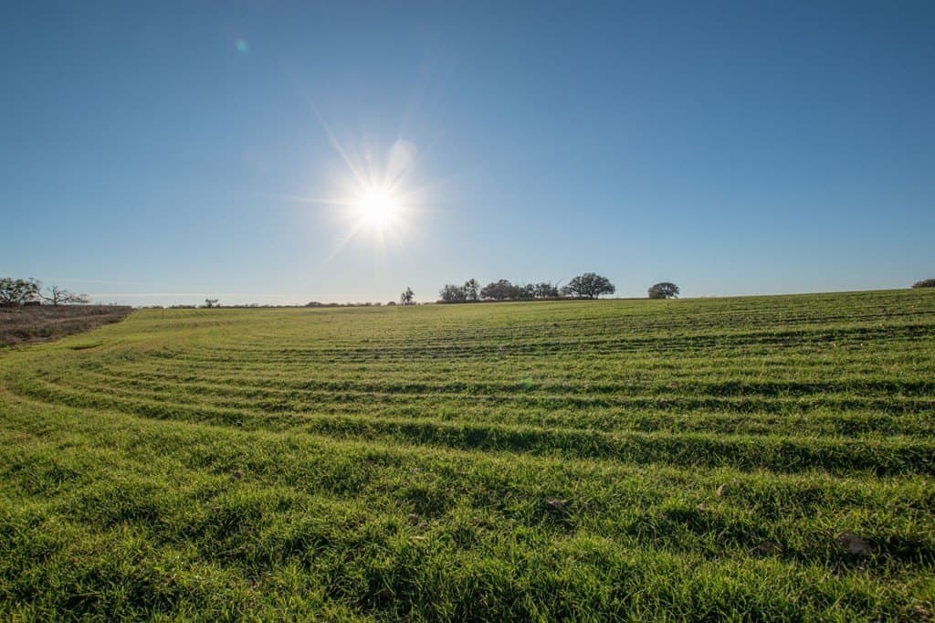 373.4 acres in San Saba County featured view