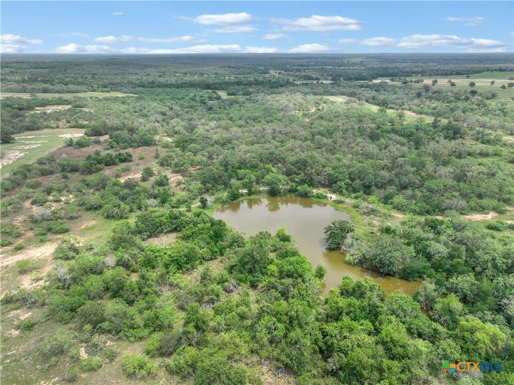 52.97 acres in Guadalupe County gallery image 2
