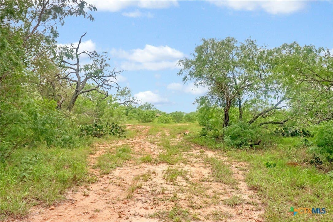 52.97 acres in Guadalupe County - photo 6