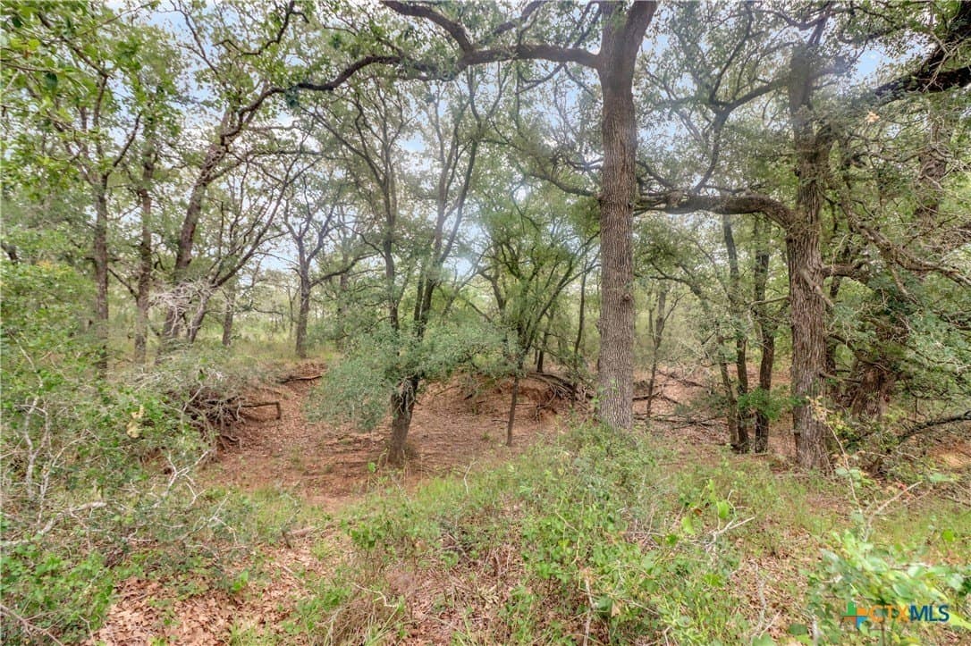 52.97 acres in Guadalupe County - photo 11